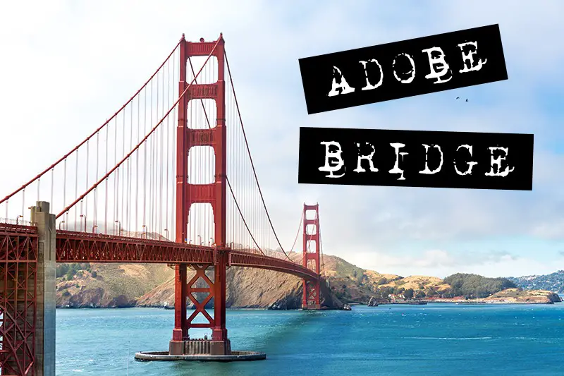 adobe bridge review